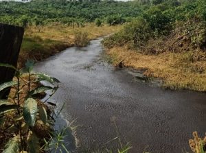 PT LAB Sampoerna Agro Siap Ganti Rugi  Dampak Bocornya Limbah di Sandai