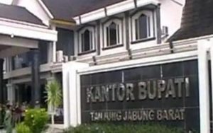 KASN Minta Bupati Tanjabbar Kembalikan Jabatan Administrator dan Pengawas ke Jabatan Semula Atau Setara