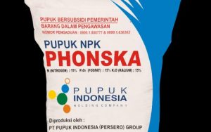 Distribusi Pupuk Bersubsidi Phonska Kecamatan Tukdana Diduga Tidak Tepat Sasaran