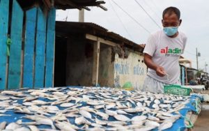 Menengok Usaha Ikan Asin di Kota Pekalongan, Andalkan Panas Matahari