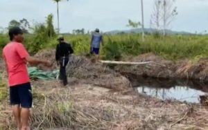 Polemik Penolakan Penerbitan Sertifikat Tanah di Kayong Utara, Ada Oknum Dewan Jadi Inisiator, Ini Pasalnya