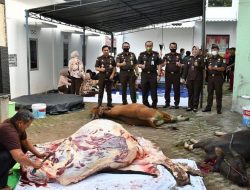 Kejati Jambi Telah Melaksanakan Pemotongan Qurban di Masjid At Taqwa