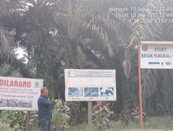 PT Citra Koprasindo Tani diduga Melakukan Perambahan Hutan Produksi dan Cagar Alam