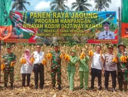 Tingkatkan Ketahanan Pangan, Kodim Way Kanan Panen Raya Jagung di Kasui