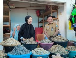 Jelang Nataru, Ilham Azikin : Harga Barang Kebutuhan Pokok di Bantaeng Stabil