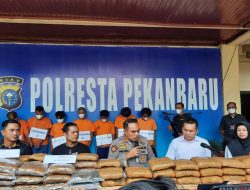 Diduga Akan Digunakan Untuk Malam Tahun Baru, Puluhan Kg Ganja Kering Diamankan Polisi