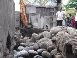 Pemkab Bantaeng Datangkan 50 Truk Timbunan untuk Atasi Abrasi Pantai Seruni