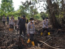 60 Hektar Lahan Gambut Terbakar Satgas Karhutla Berjibaku Padamkan Api, Wakapolda Riau Berikan Dukungan Moril