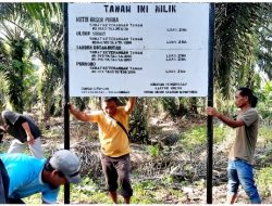 3 Tahun Tak Bisa Panen Hasil Ladang Sendiri, Warga Dusun IV Desa Sekijang Menjerit Minta Tolong