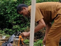 Pompa Celup Air Kotor tidak Berfungsi, Akibat Kabel Listrik Hilang