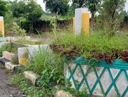 Wajah kota Pematangsiantar Buruk Akibat Tanaman dan Taman Median Jalan Ditumbuhi Rumput