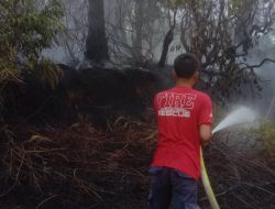 Diduga Cuaca Panas Ekstrem, Lahan Warga Hangus Terbakar