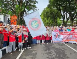 Guru Tanah Datar Bersatu dalam Gerak Jalan Jantung Sehat untuk Peringati Hari Guru Nasional dan Ulang Tahun PGRI ke-78