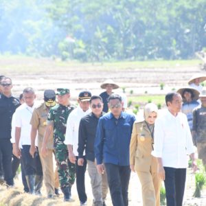 Panglima TNI Dampingi Presiden RI Tanam Padi di Jawa Tengah