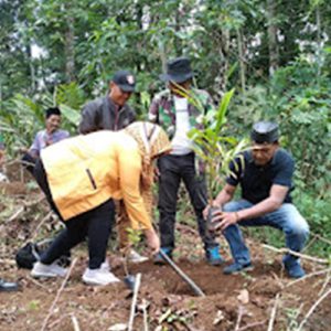 Peduli Gunung Sawal, Forum Pelita Tanam Ribuan Bibit Pohon