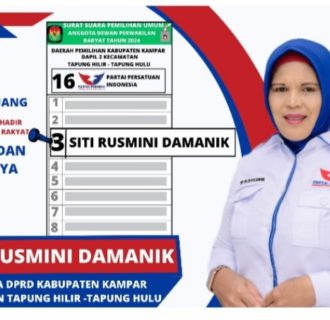 Siti Rusmini Damanik Pejuang Single Parent yang Berjuang Merintis Jalur Legislatif