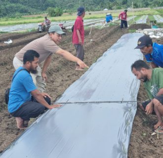 Terobosan Luar Biasa untuk Pertanian Berkelanjutan di Indonesia, Suasana Produksi Beras Nasional Turun