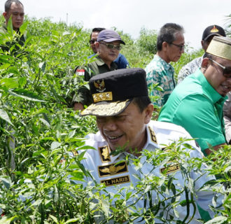 Gubernur Al Haris Bertemu dan Berdialog Bersama Petani Didesa Tedar Kuranji  KAB Batanghari Jambi