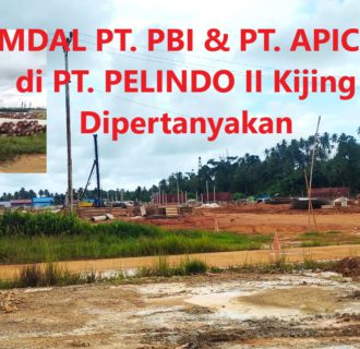 Nilai Investasi PT PBI dan Apical Rp 4 Triliun, Amdalnya di Pelindo II Kijing Dipertanyakan