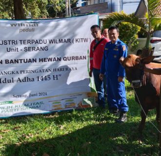 Wilmar Group Bagikan 43 Hewan Qurban kepada Warga Kabupaten Serang