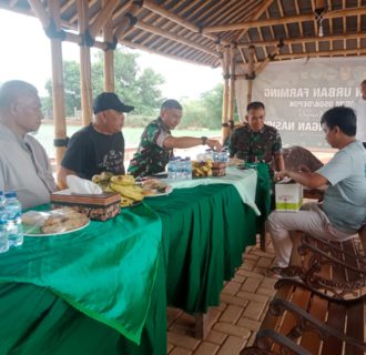 Ketahanan Pangan dan Inflasi: Danrem 051/Wijayakarta Tinjau Lahan Urban Farming di Depok