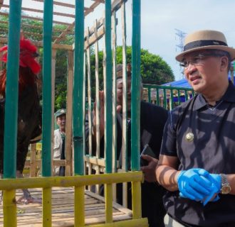 Pemkot Cimahi Gelar Kontes Ayam Pelung Gema Lokananta II, Rayakan HUT ke-23