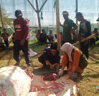 Dinas Peternakan dan Kesehatan Hewan Kabupaten Pasuruan Lakukan Pemeriksaan Post Mortem Pada Hewan Kurban