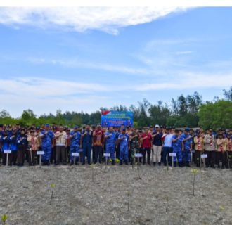 Kapuspotdirga TNI AU Lakukan Penanaman Pohon Mangrove di Pesisir Pantai 