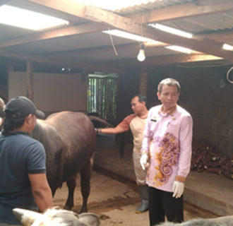 Jamin Kesehatan Hewan Qurban Disnakan Ciamis Gencar Lakukan Pemeriksaan Hewan Qurban