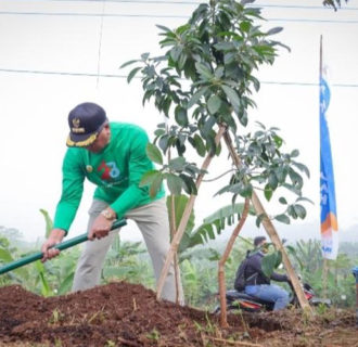 Peringatan Hari Lingkungan Hidup Sedunia 2024 di Kota Cimahi, Fokus pada Restorasi Lahan dan Ketahanan terhadap Kekeringan