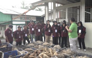 BPDPKS Membuat Program bagi Pengembangan SDM Perkebunan Kelapa Sawit