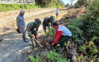 Satgas TMMD Peduli Kelestarian Alam Sekitar, Laksanakan Giat Tanam Beribu Pohon